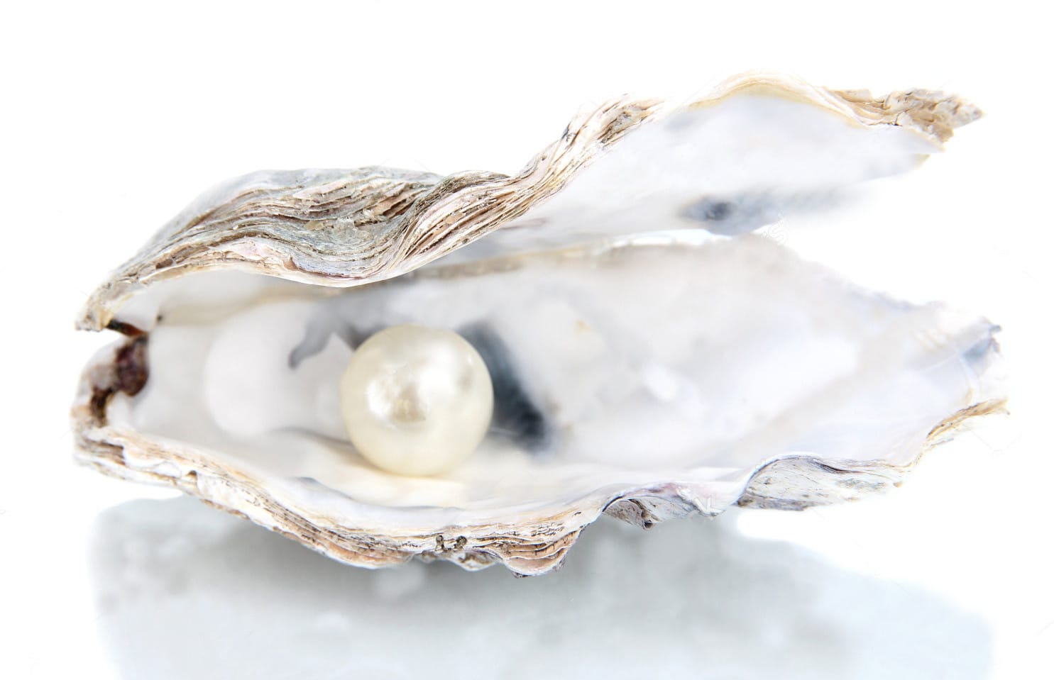 Perle d'acqua dolce
